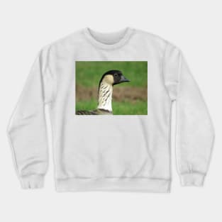 Nene - state bird of Hawaii Crewneck Sweatshirt